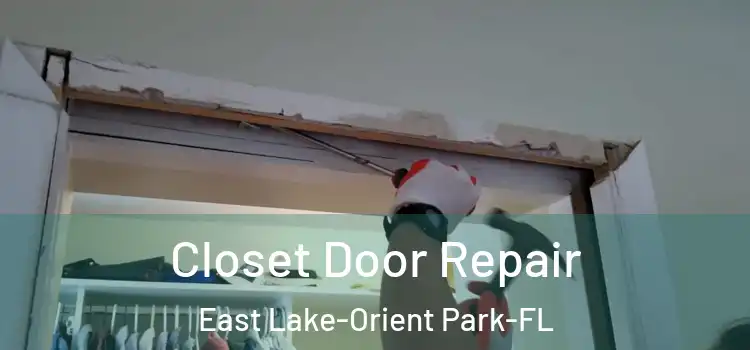  Closet Door Repair East Lake-Orient Park-FL