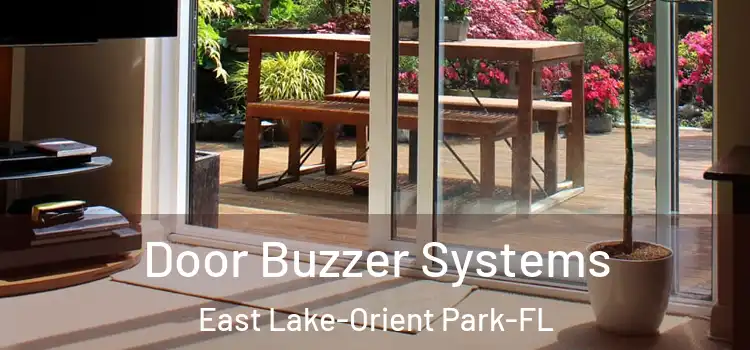  Door Buzzer Systems East Lake-Orient Park-FL