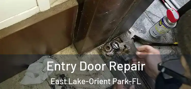  Entry Door Repair East Lake-Orient Park-FL