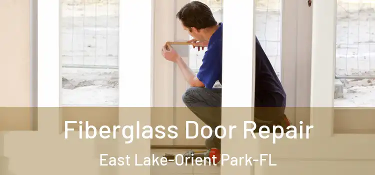  Fiberglass Door Repair East Lake-Orient Park-FL