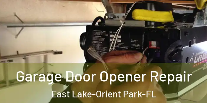  Garage Door Opener Repair East Lake-Orient Park-FL