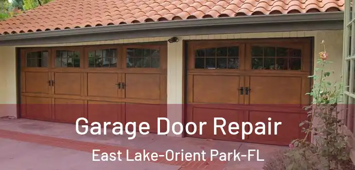  Garage Door Repair East Lake-Orient Park-FL