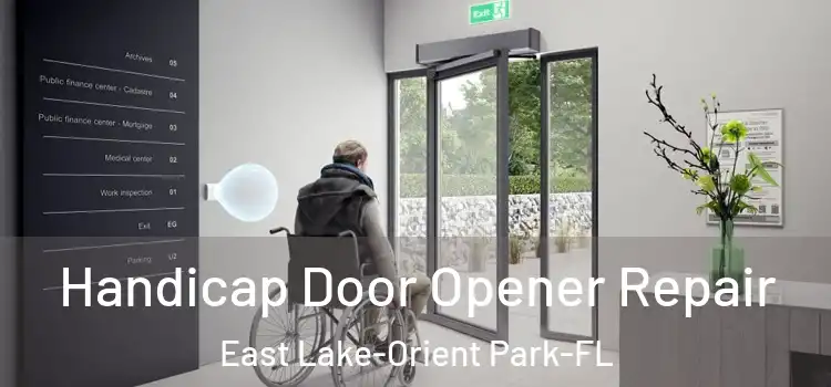  Handicap Door Opener Repair East Lake-Orient Park-FL
