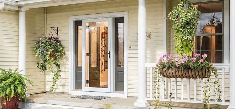 screen door installation in East Lake-Orient Park