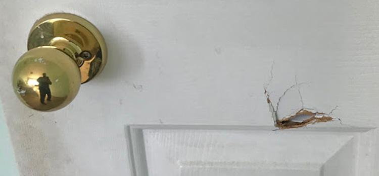 interior door hole repair East Lake-Orient Park