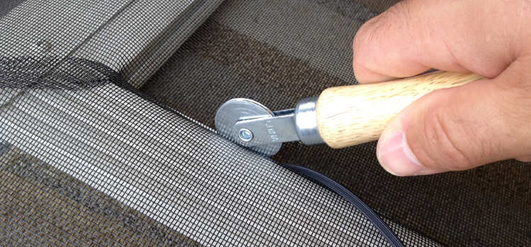 metal screen door repair in East Lake-Orient Park