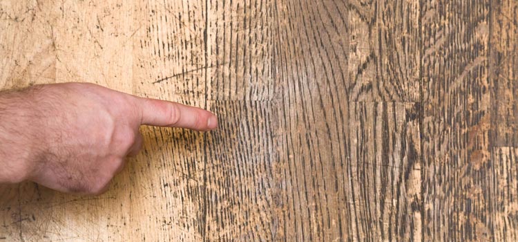 Wood Door Scratch Repair in East Lake-Orient Park
