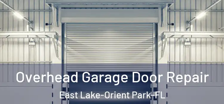  Overhead Garage Door Repair East Lake-Orient Park-FL