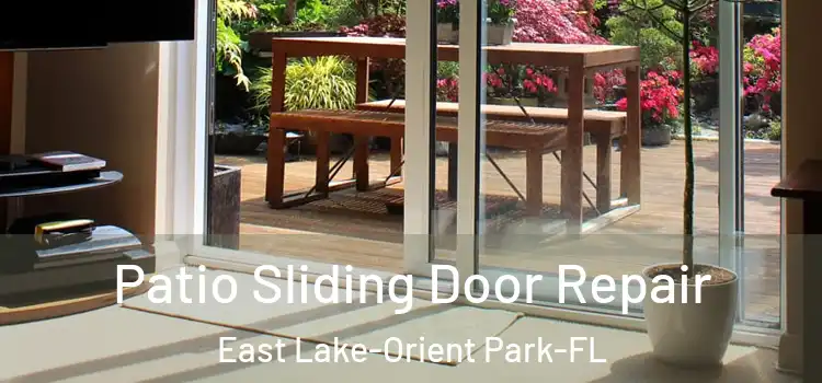  Patio Sliding Door Repair East Lake-Orient Park-FL