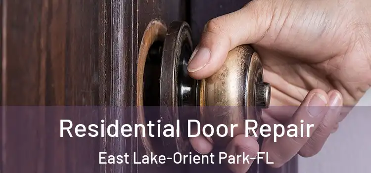  Residential Door Repair East Lake-Orient Park-FL