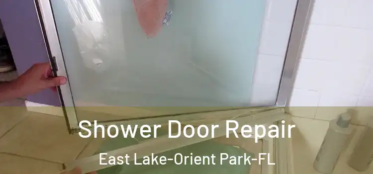  Shower Door Repair East Lake-Orient Park-FL