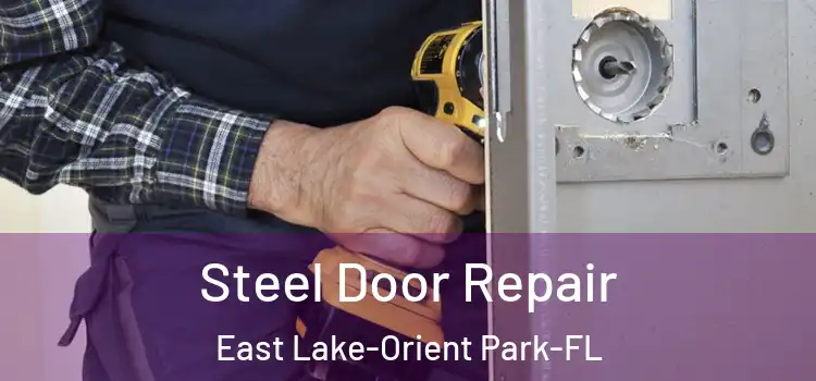  Steel Door Repair East Lake-Orient Park-FL