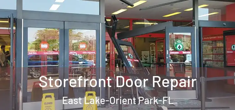  Storefront Door Repair East Lake-Orient Park-FL