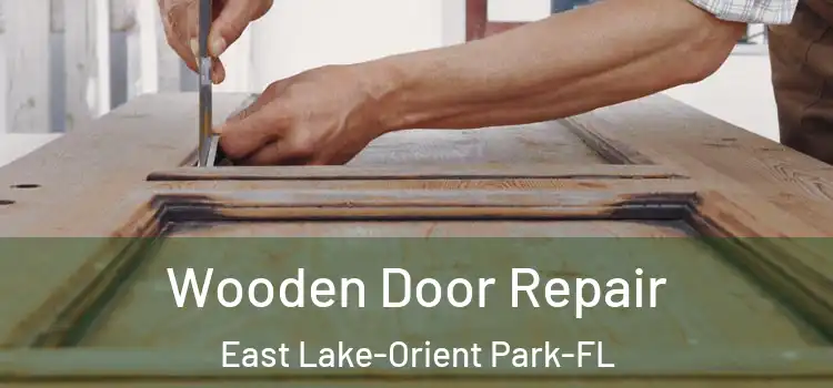  Wooden Door Repair East Lake-Orient Park-FL